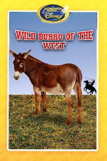 Wild Burro of the West Trailer