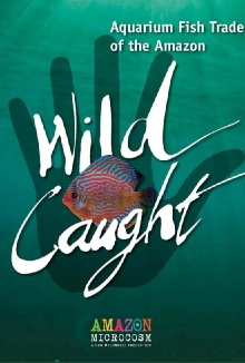 Wild Caught: Aquarium Fish Trade of the Amazon Trailer