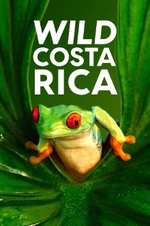 Wild Costa Rica Trailer