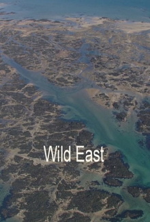 Wild East Trailer