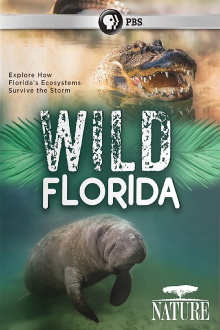 Wild Florida Trailer