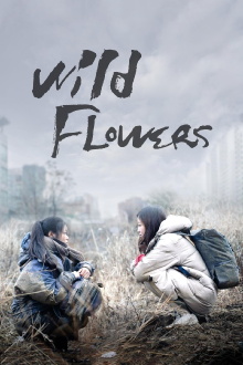 Wild Flowers Trailer