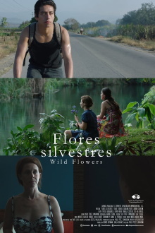 Wild Flowers Trailer