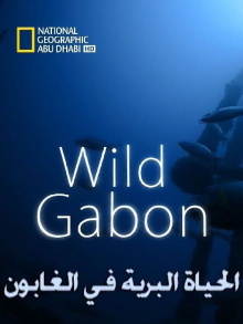Wild Gabon Trailer