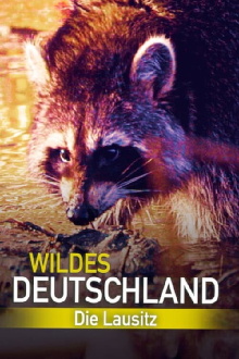 Wild Germany: Exploring Lusatia Trailer