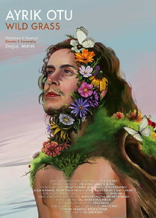 Wild Grass Trailer