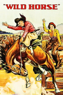 Wild Horse Trailer