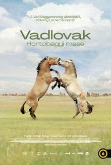 Wild Horses - A Tale From The Puszta Trailer