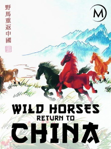 Wild Horses: Return to China Trailer