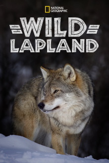 Wild Lapland Trailer