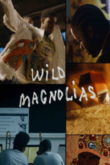 Wild Magnolias Trailer