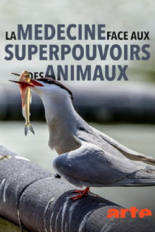 Wild Medicine: Animals' Superpowers Trailer
