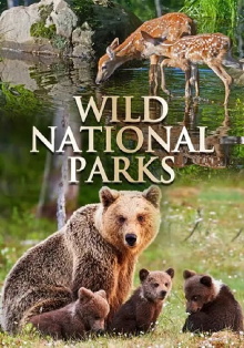 Wild National Parks Trailer