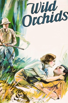 Wild Orchids Trailer