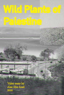 Wild Plants of Palestine Trailer