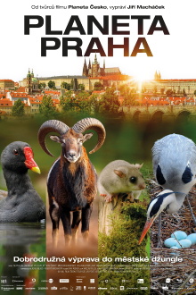 Wild Prague Trailer