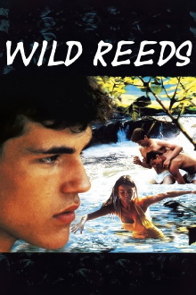 Wild Reeds Trailer