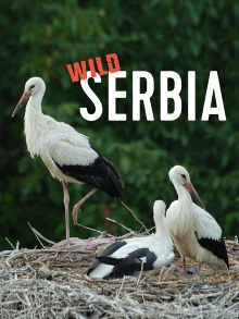 Wild Serbia Trailer