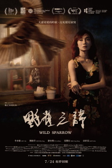 Wild Sparrow Trailer