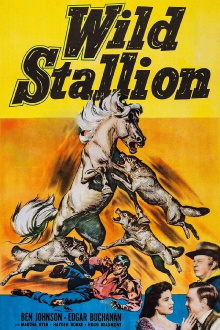 Wild Stallion Trailer