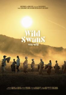 Wild Swans Trailer