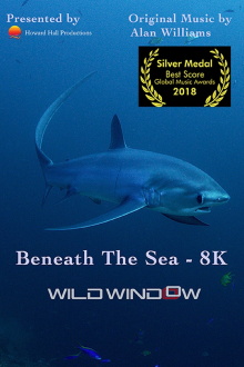 Wild Window: Beneath the Sea Trailer