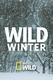 Wild Winter Trailer