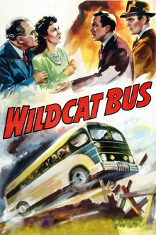 Wildcat Bus Trailer