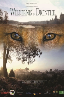 Wildernis in Drenthe Trailer