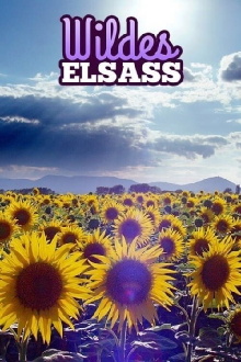 Wildes Elsass Trailer