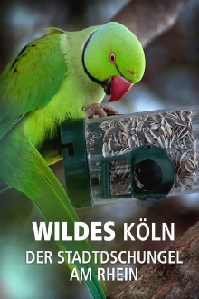 Wildes Köln: Der Stadtdschungel am Rhein Trailer