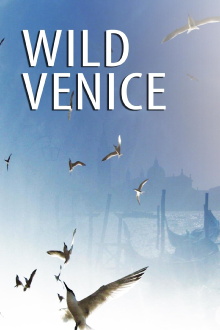 Wildes Venedig Trailer