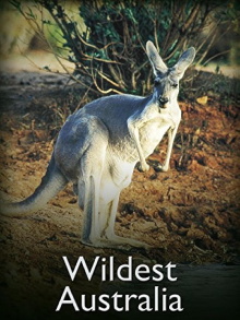 Wildest Australia Trailer