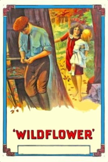 Wildflower Trailer