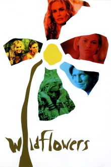 Wildflowers Trailer