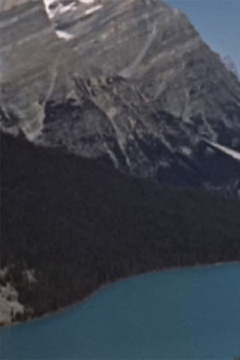 Wildlife in the Rockies Trailer