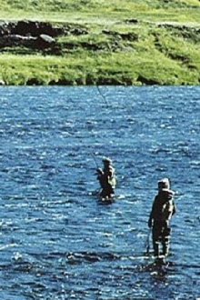 Will There Be Salmon Tomorrow? Trailer
