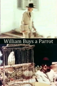 William Buys a Parrot Trailer