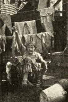 Willie, King of Janitors Trailer