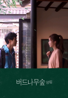 Willow Tree Forest Yangnim Trailer
