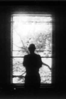 Window Trailer