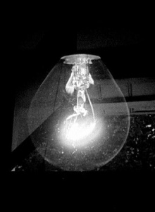Window/Light Trailer