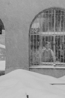 Window to the Yard Trailer