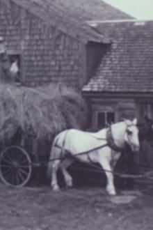 Windy Ledge Farm Trailer