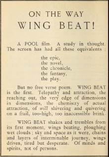 Wing Beat Trailer