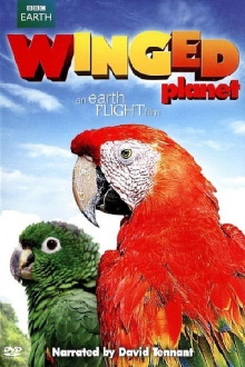 Winged Planet Trailer