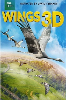 Wings 3D Trailer