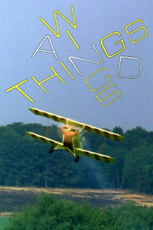 Wings and Things Trailer