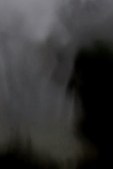 Wings from Somewhere Trailer