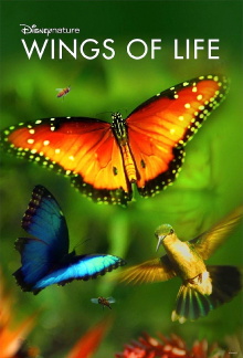 Wings of Life Trailer